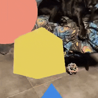 Een augmented reality-scène met een rode bol, een draaiende gele kubus en een blauwe kegel. Een controller richt op de kubus en deze verandert van kleur. Een schattige zwarte labrador slaapt op een stoel